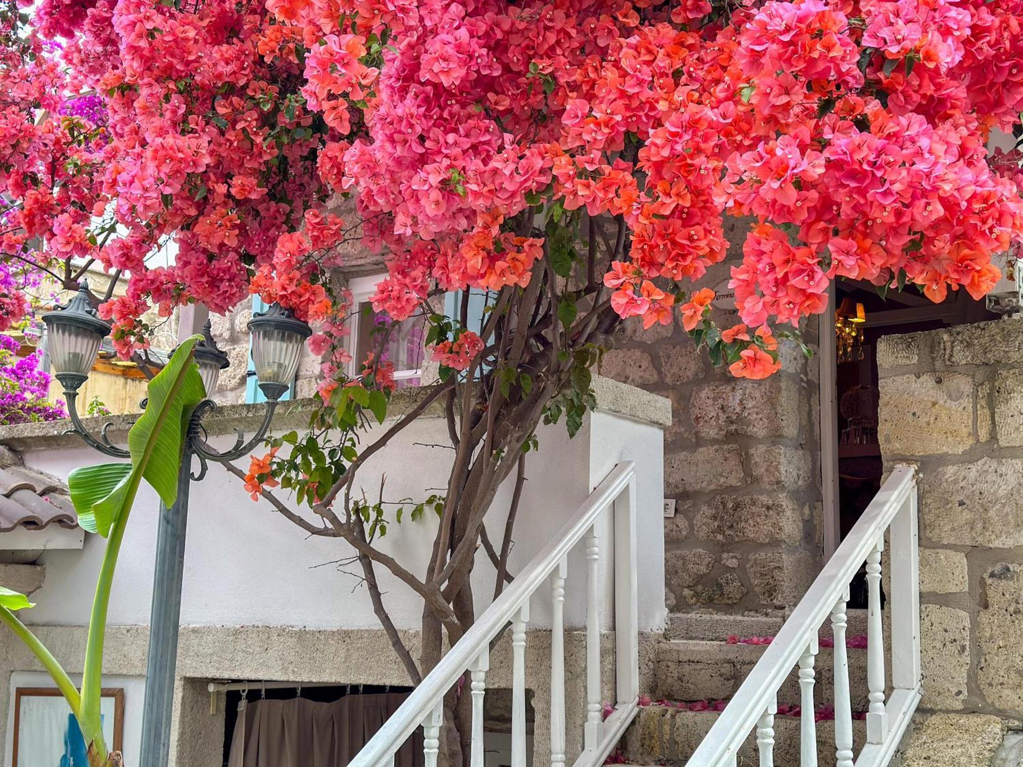 Erendira Hotel - Special Category Alacati Exterior photo